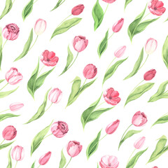 Seamless pattern with pink tulip