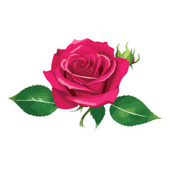 Naklejka premium Rose 01