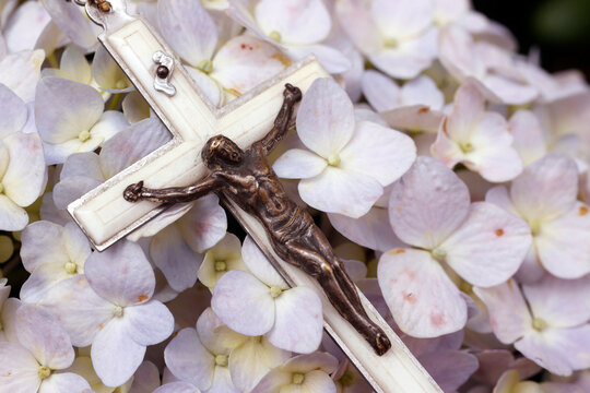 Prayer in nature, Catholic rosary beads with Jesus on hydrangea flower, Vietnam, Indochina
