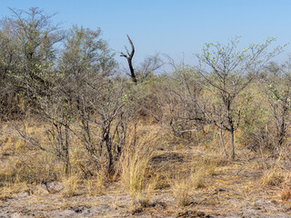 Botswana