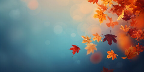 autumn background with copy space