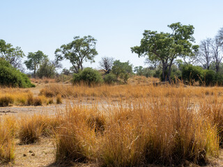 Botswana