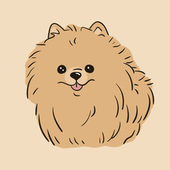 Cute little beige Pomeranian Spitz, line art isolated on a transparent white background