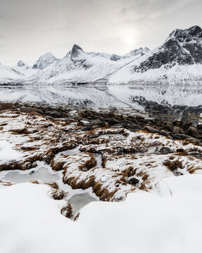 Foreshore and mountains, Senja, Troms og Finnmark, Norway