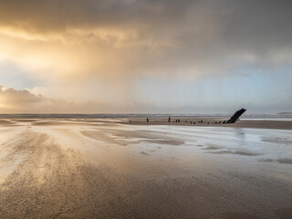 Rain sweeping across Rhossili at sunset showing the shipwreck of the Helvetia, Rhossili, Gower, South Wales