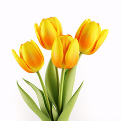 Fototapeta premium Bouquet of yellow tulips isolated on white background with clipping path. Valentine's Day and Mother's Day background. Top view.