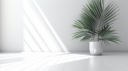 Fond composé d'un mur blanc, avec lumière et ombre et plante décorative. Ambiance calme, épurée, luxe. Arrière-plan pour conception et création graphique. - obrazy, fototapety, plakaty