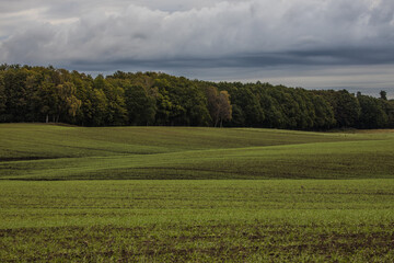 Green Skåne Landscape with hills - 666711167