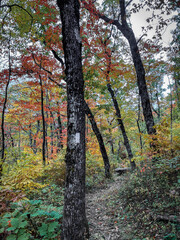 Beautiful Fall Weather Hiking the Appalachian Trail. Fall Weather Hiking North America Forests 