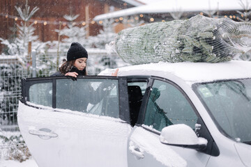 Beautiful woman tying to put a Christmas tree to the roof of the car to bring it home. Live fir tree delivery