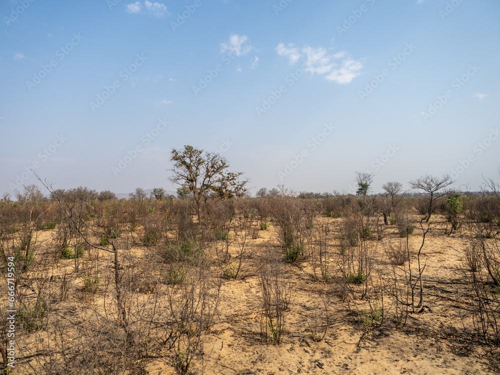 Poster Botswana