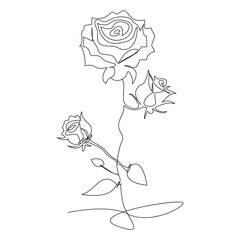 Continuous one line rose flower  outline vector art drawing