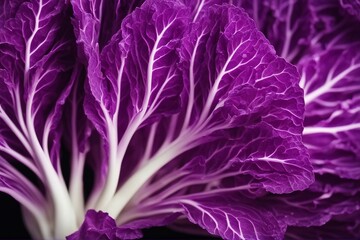Vibrant Elegance: Purple Chinese Cabbage, a Colorful Twist on Traditional Greens