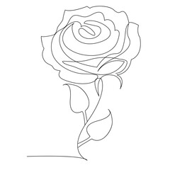 Continuous one line rose flower  outline vector art drawing