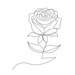 Continuous one line rose flower  outline vector art drawing