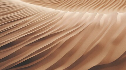 Fototapeta na wymiar a close up of a desert
