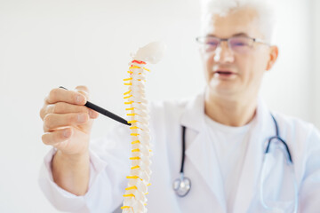 Closeup medical male doctor pointing on human spine model with a pen sitting in his office. Spinal...
