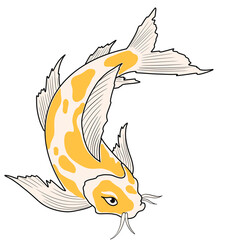 illustration of a goldfish