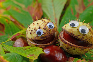 Lachende Kastanien mit Augen und Mund