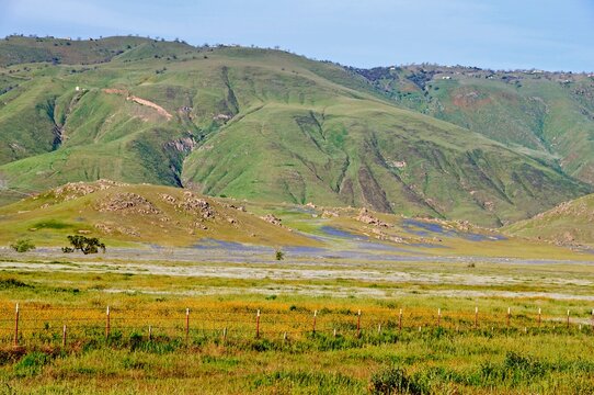 Landscape On Tejon Ranch; Grapevine, California, United States Of America