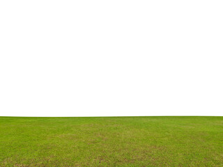 Green meadow isolated on white background. Clipping path.