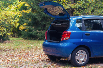Blue car with an open empty trunk in the autumn forest © andrei310