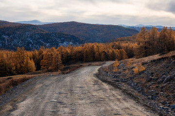 Mountain autumn off-road track to high mountain village in Altai region. Dangerous narrow cliffside...