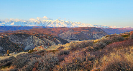 Panoramic tundra autumn view, sunny day. Yellow bushes on a background of mountain landscape. Snow-capped peaks and blue sky.