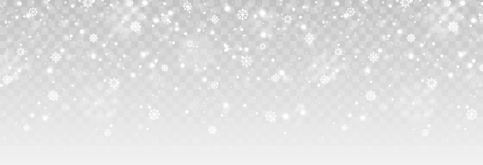 Foto op Aluminium Vector snow background png. Snow png. Snowfall, blizzard, winter. Falling snowflakes. Christmas background. © Vitaliy