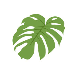 Fototapeta na wymiar monstera leaf icon design vector template