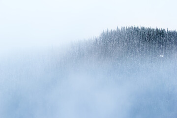 Snowy fog on the dark mountain with deep fir forest.