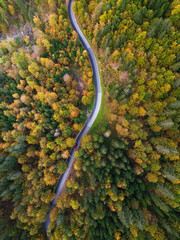 Foresta colorata con auto rossa
fusine - italia
