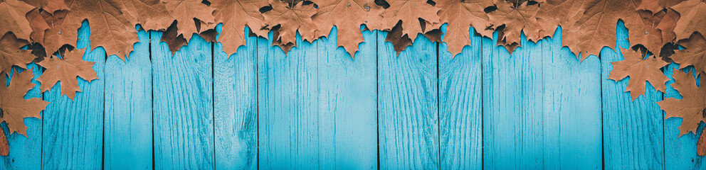 Autumn Brown Leaves on Turquoise Wooden Background. Panoramic banner.