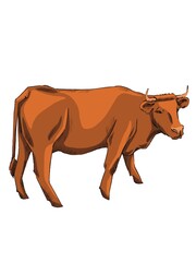 Brown cow on a white flat style 