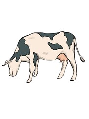 cow eating a grass sketch style 