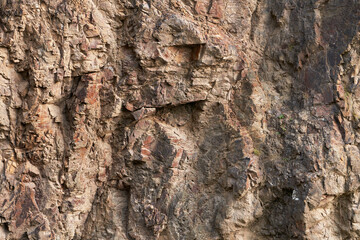 Stone texture: pink rock cliff with sparse vegetation. Copy space.