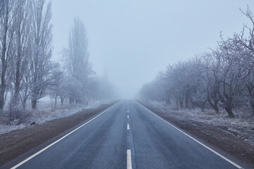 Winter morning with frosted trees, foggy atmosphere, and a disappearing asphalt road.
