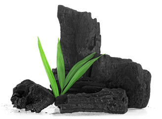 Natural wooden charcoal with bamboo leaves isolated on a white background. Hard wood charcoal powder has medicinal properties. - obrazy, fototapety, plakaty