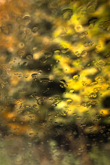 Raindrops on the glass. Bright autumn road. Raindrops on the windshield of the car. Gloomy autumn weather. Rainy season. Road trip. Fall colors.
