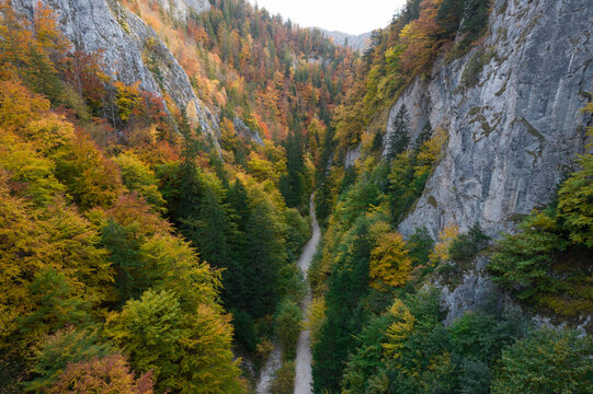 Piatra Crauilui National Park