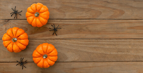 autumn background. pumpkins and spiders on wooden table with copy space for Halloween.