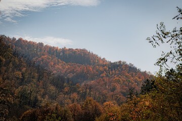 autumn landscape in the mountains