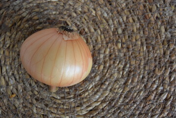 Onion on a straw background.Natural source of vitamins.