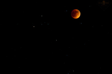 Blood Moon © Seth