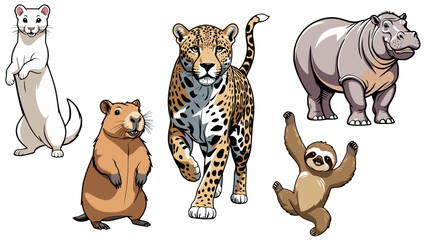 Stylish vector set of wetland animals © Carl Chiu