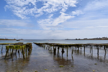 wooden pier in the sea