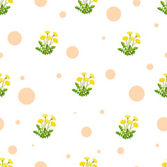 Seamless pattern of blooming dandelions on white background. Herbs vector illustration for baby linen, wallpaper, wrapping paper.