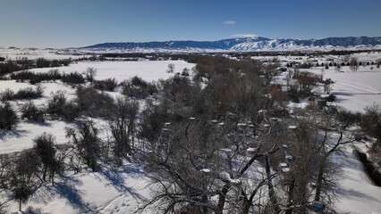 Snow Covered Trees in a Wyoming Winter Wonderland 