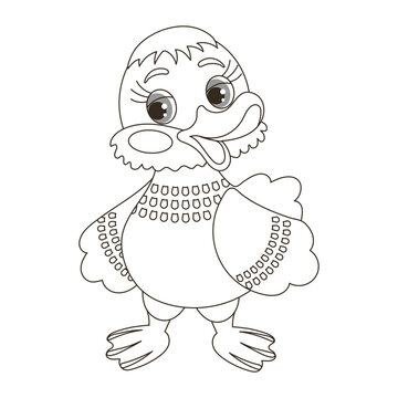 recommend clip art: Cute cartoon little baby duckling, goose character. Sketch, outline drawing for a coloring book. Vector