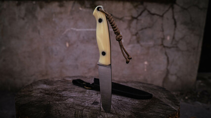 Handmade hunting knife in a leather sheath